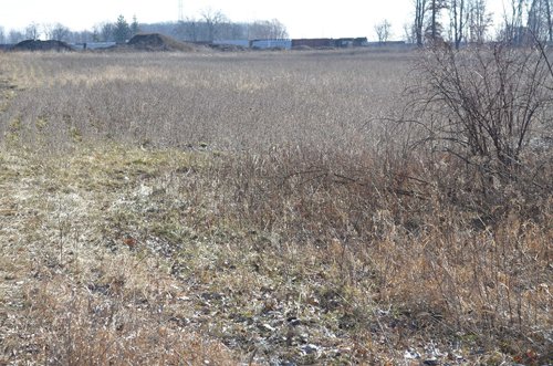 Property photo 16 - East Allen County - 55 Acre Land Auction